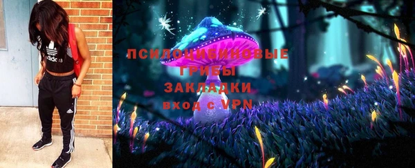 спиды Алзамай